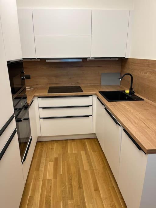 Apartment Holesovice,balkon,garaz *