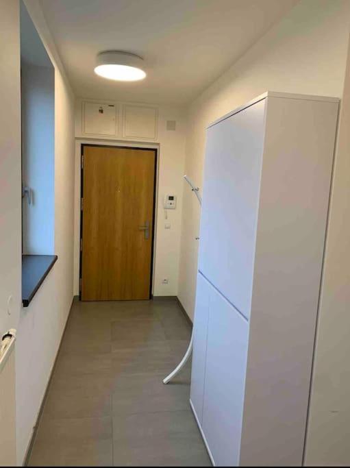 Apartment Holesovice,balkon,garaz Prague